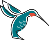 Humming bird graphic